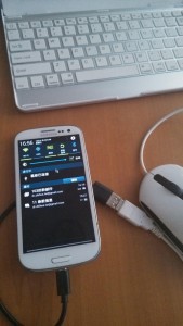 IMG_20130818_165611-169x300 USB OTG (On The Go) emulator ipad java non-technical smart phones tricks USB 