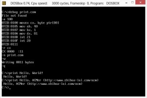 Lost Era, Microsoft DOS, 16-bit Assembly, Echo program revisited