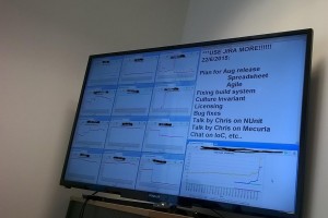 A Big Monitor Does Help in Improving Agile Development