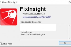 Some Issues Reported by FixInsight Static Delphi Code Analyser