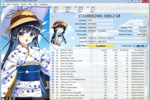 Software Review: Crystal Disk Info – the HardDisk Viewer