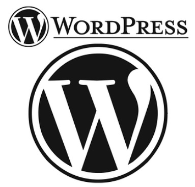 wordpress 密码或IP地址保护 WordPress 博客的 wp-admin 目录(并且允许 admin-ajax.php) wordpress 小技巧 服务器