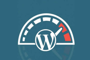 How to Optimize WordPress Website for Speed?