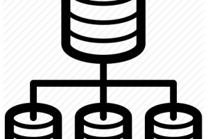 Are VPS or Shared Servers Free from Data Corruptions due to Disk Failures? (RAID Support)