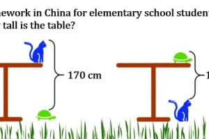 How Tall is the Table? (Simple Math Equations)