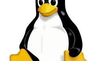 How to Exchange Data Between Processes in Linux?