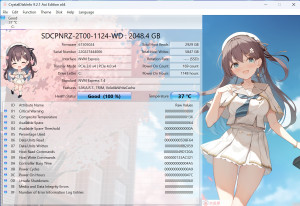 crystaldiskinfo-ssd-lifespan-on-another-laptop-300x206 Normal Lifespan of SSD on another same laptop (Microsoft Surface Studio)