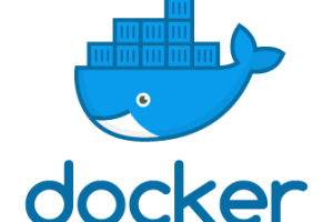 How to Specify the Additional Parameters for Docker Run Command When Overriding –entrypoint?
