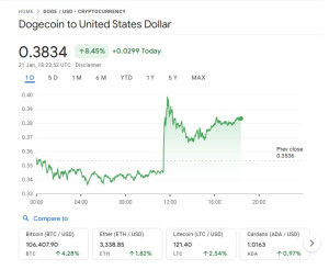 dogecoin-2025-01-21-300x246 DOGE coin $0.38