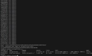 docker-firefox-pull-image-300x183 Docker pull the images to set up the Firefox