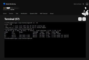 nezha-monitor-ssh-300x201 Admins can directly SSH as root from the dashboard – very powerful.