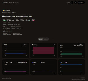 raspberrypi-monitor-nezha-monitor-300x278 Added Raspberry PI 4b server to Nezha Monitor