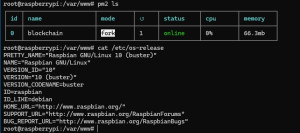 run-pm2-blockchain-program-on-raspberrypi-4b-300x133 Raspberry Pi 4b is good enough to run a small nodejs program on PM2.