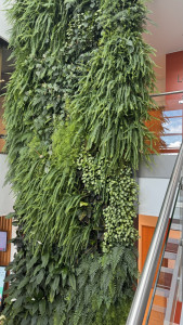 cambridge-science-park-2025-09-05-15.04.40-169x300 Green Fake Plants