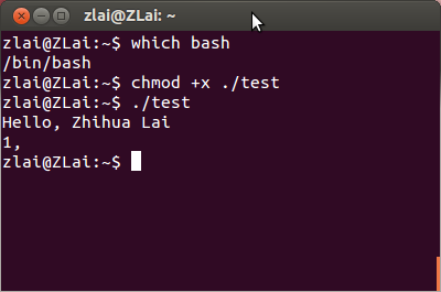 bash2 Passing Arguments to BASH function batch script beginner implementation technical 